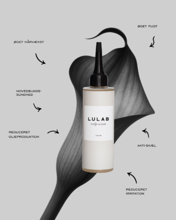LULAB – projektbillede 4