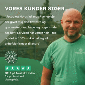 Nordsjællands Plænepleje – projektbillede 4