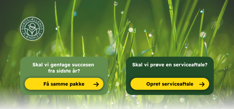 Nordsjællands Plænepleje – projektbillede 5