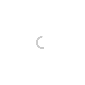 Fjernsupport