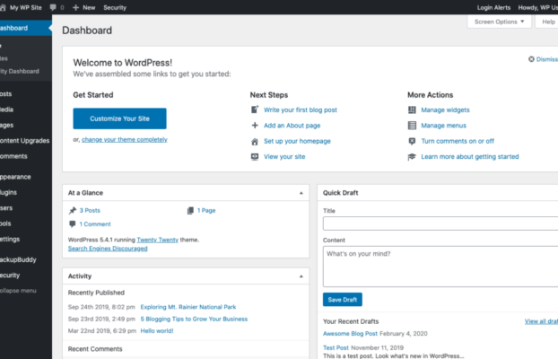 WordPress 5.5 er nu lanceret